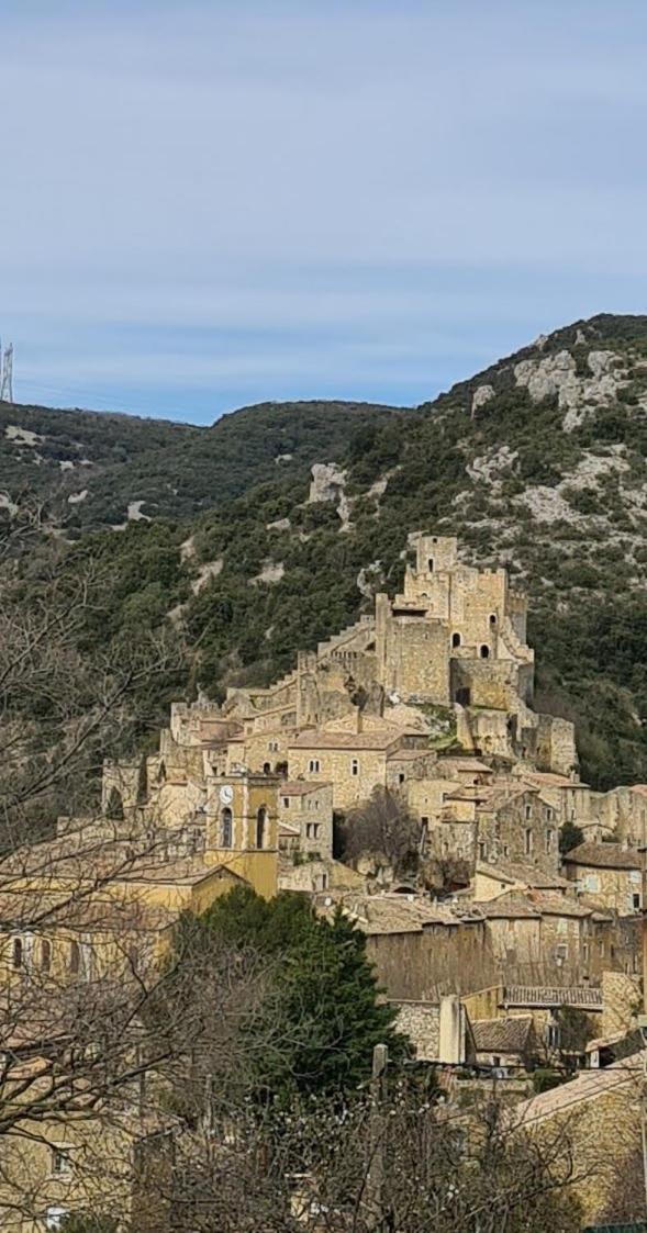 Gite Climatise "Baugallo Pastourelle" Appartement Saint-Montan Buitenkant foto